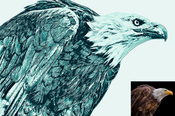 Realistic Line Drawing Ps Action