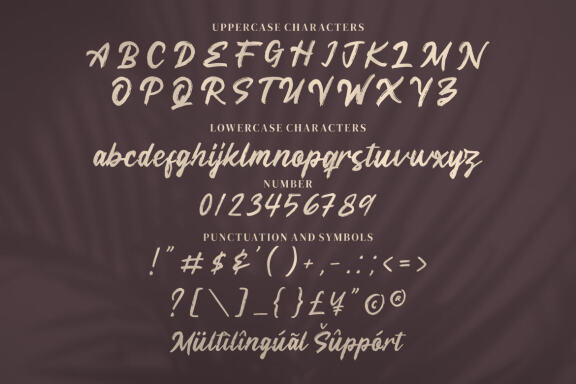 Meega Juctice - Brush Script Font