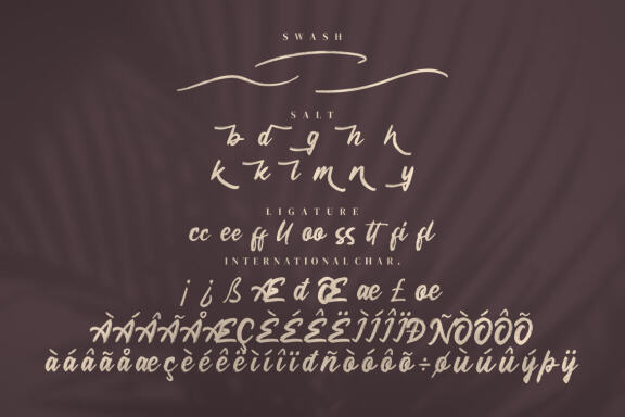 Meega Juctice - Brush Script Font