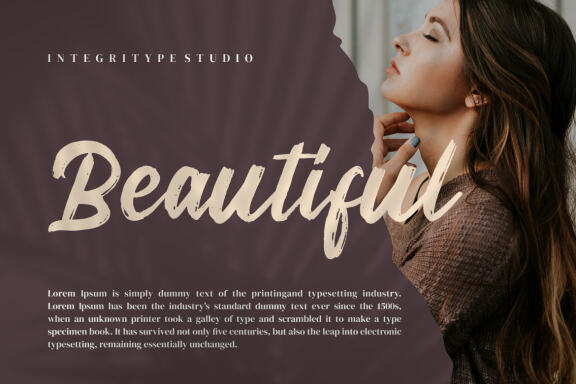 Meega Juctice - Brush Script Font