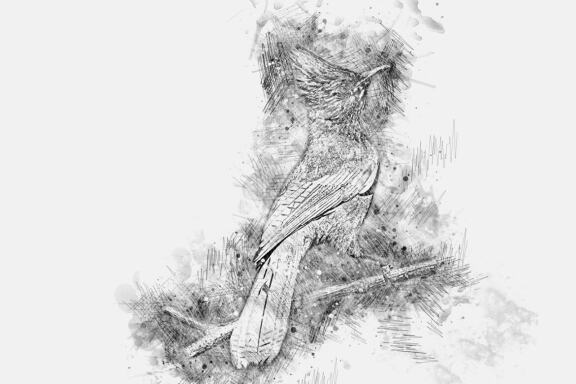 Portrait Sketch Photoshop Action