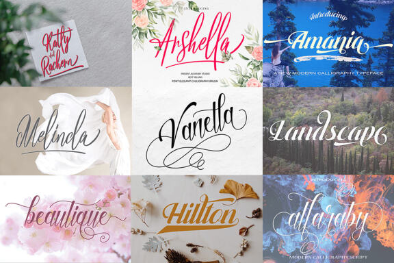 Special Font Bundle