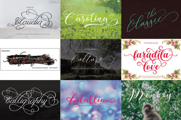 Special Font Bundle