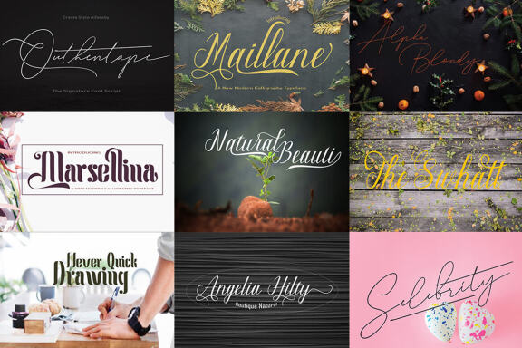 Special Font Bundle