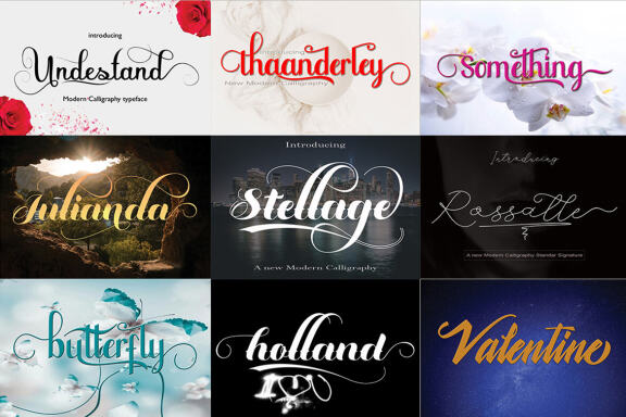 Special Font Bundle