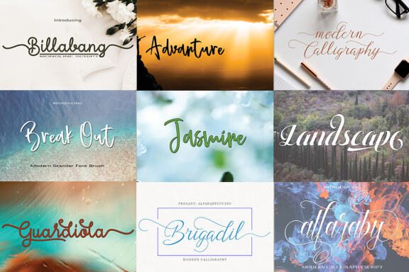 Special Font Bundle