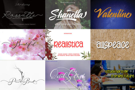 Special Font Bundle