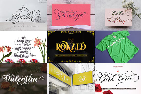 Special Font Bundle