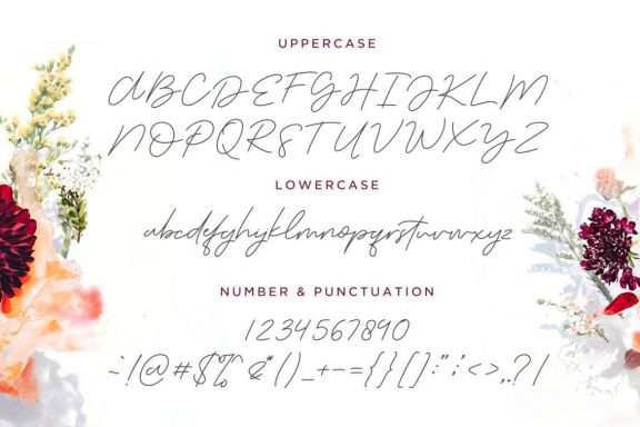 The Serenity - Lovely Script