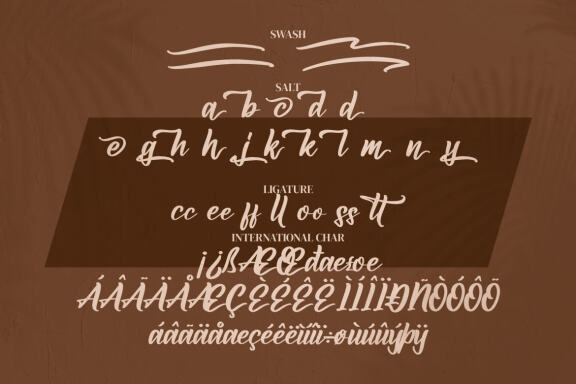 Amsterdam Jungleria - Modern Calligraphy Font