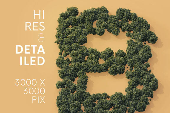 Aerial Forest - 3D Lettering