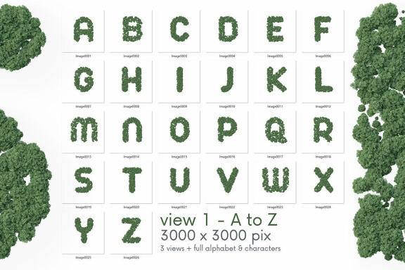 Aerial Forest - 3D Lettering