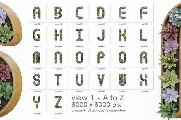 Cactus In Pot - 3D Lettering