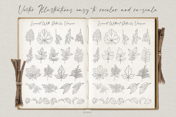 Leaves and Branches Botanical Vector Set Vol. 1