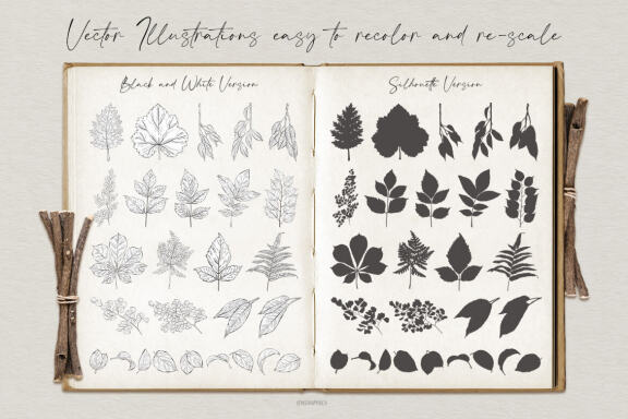 Leaves and Branches Botanical Vector Set Vol. 1