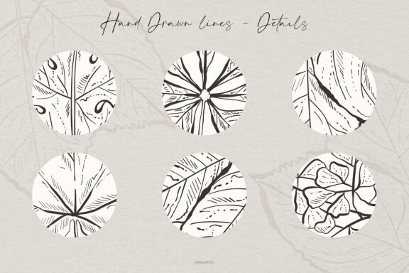 Leaves and Branches Botanical Vector Set Vol. 1