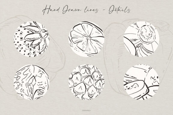 Hand Drawn Fruits and Veggies Vector Illustrations