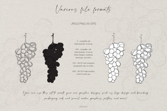 Hand Drawn Fruits and Veggies Vector Illustrations