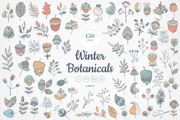 Winter Botanicals Vector Illustrations