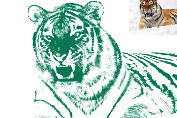 Vector Generator Photoshop Action