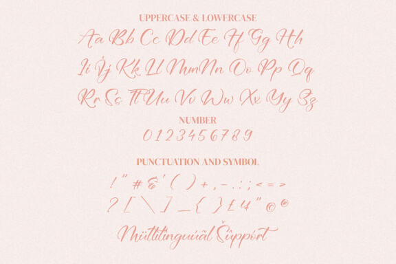 Brittani Renata – Modern Script Font