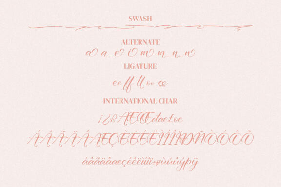 Brittani Renata – Modern Script Font