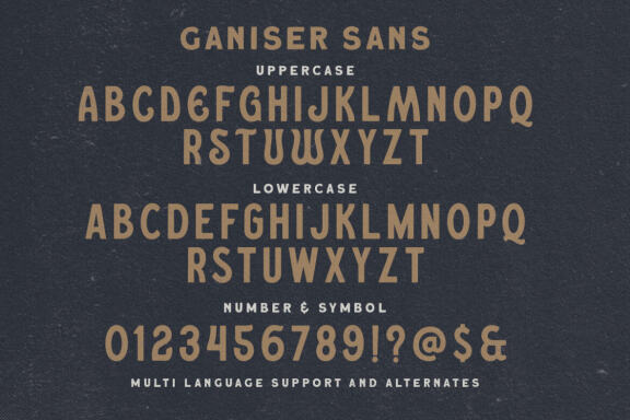 Ganiser Sans - Extra Premade Logo