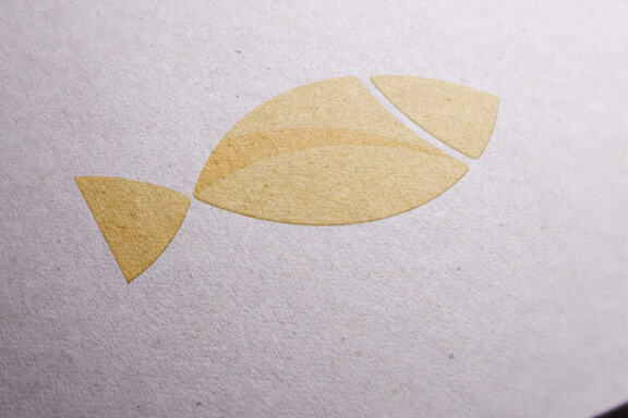 Fish logo design vector 