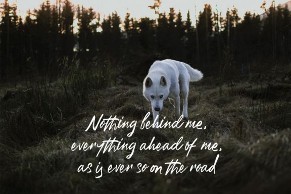Rustic Script