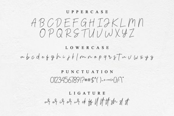 Scarlette - Simple and Modern Signature
