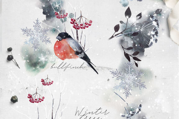 Winterfall Bundle 2 in 1
