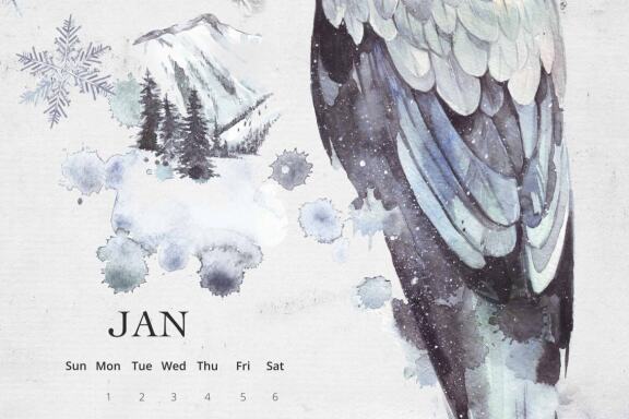 Winterfall Bundle 2 in 1