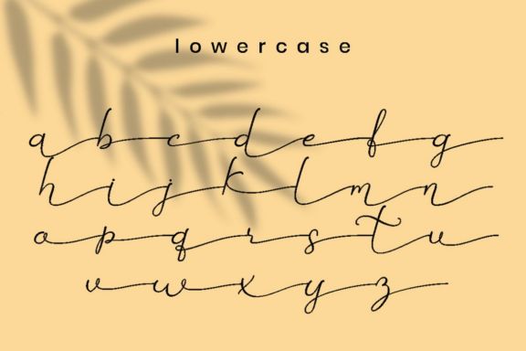 Betti Script