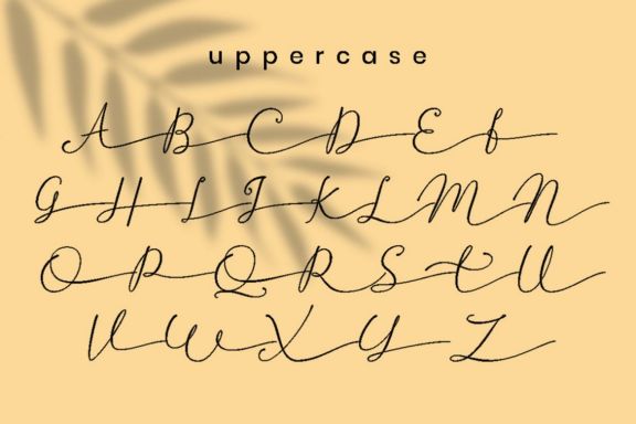 Betti Script