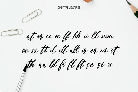 Sattel Hintar Brush Script Font