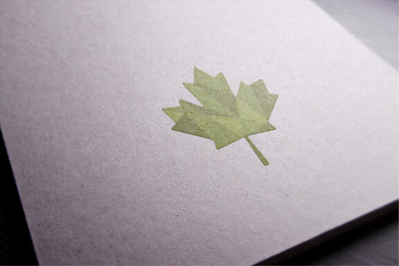 Canada geometric logo design template vector