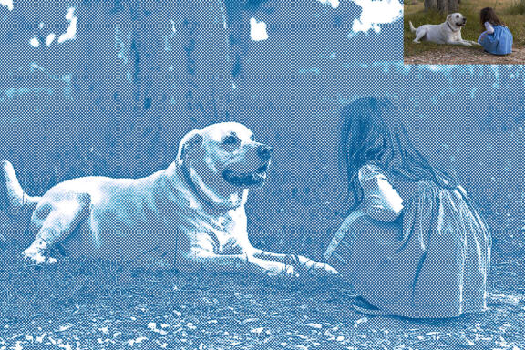 Halftone Strokes Photoshop Action