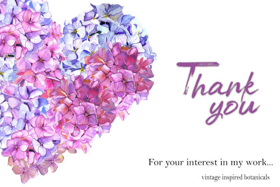 Set. Valentines hydrangea Heart Clipart. Love png