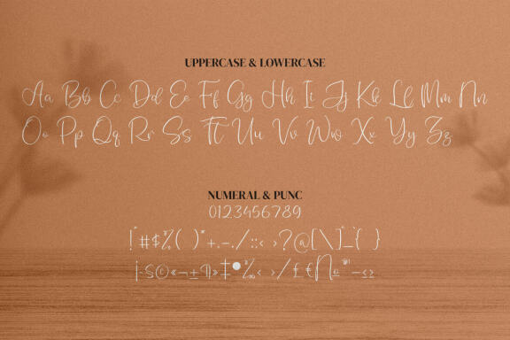 Monday Sunny - Handwritten Script Font