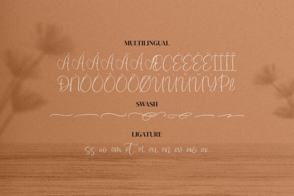 Monday Sunny - Handwritten Script Font