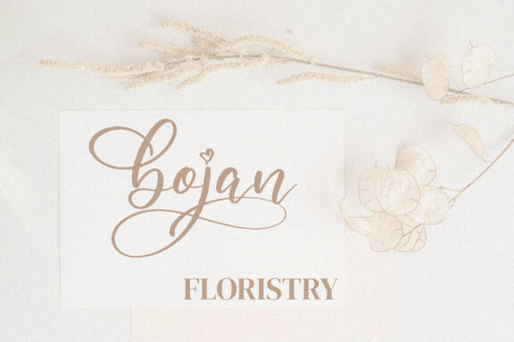Cyndi aulya – Beautiful Script Font