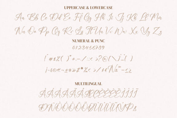 Cyndi aulya – Beautiful Script Font