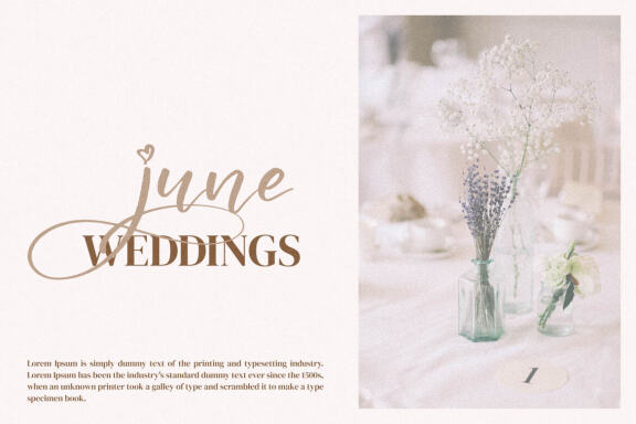 Cyndi aulya – Beautiful Script Font