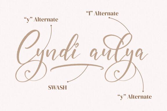 Cyndi aulya – Beautiful Script Font