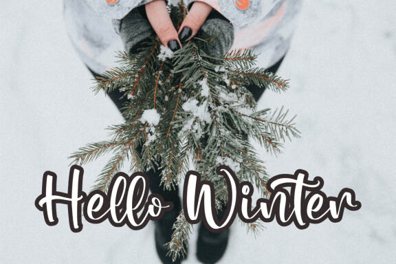 Merry Christmas - FREE Script