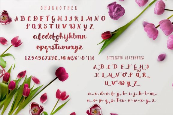 Lativa Typeface