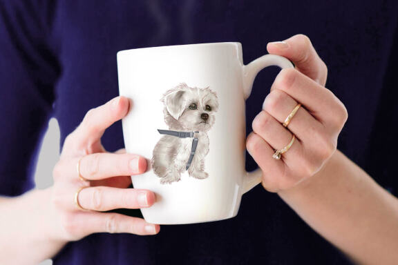 Dog and cat clipart set, Animal png