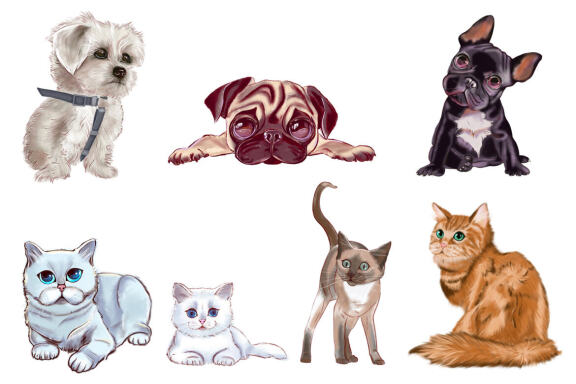 Dog and cat clipart set, Animal png