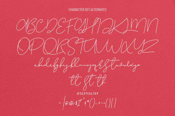 Christie Dianna FREE Font