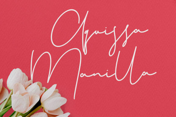Christie Dianna FREE Font